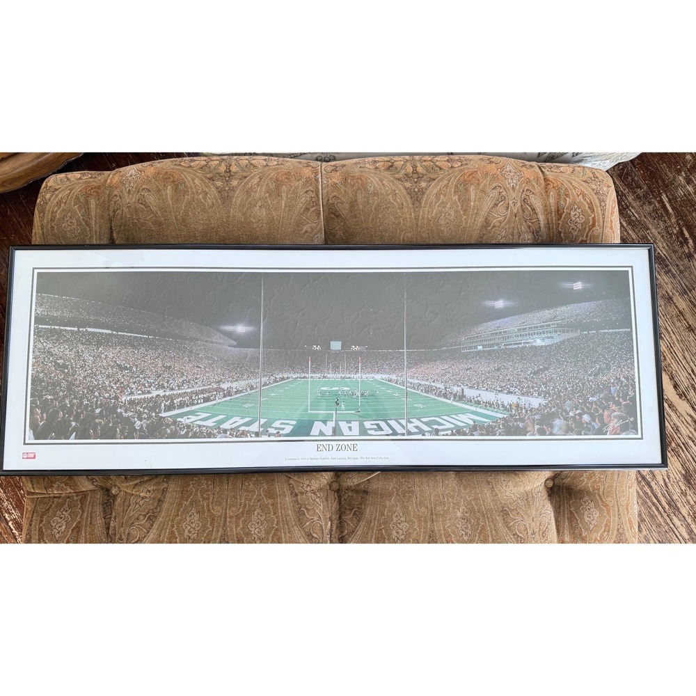 Michigan State MSU Spartan Stadium End Zone Rob Arra Panoramic Framed Art Print